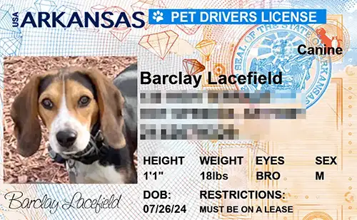 Sample pet ID tag for a dog in Arkansas