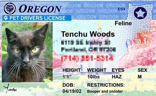 Oregon custom dog driver license style ID tag