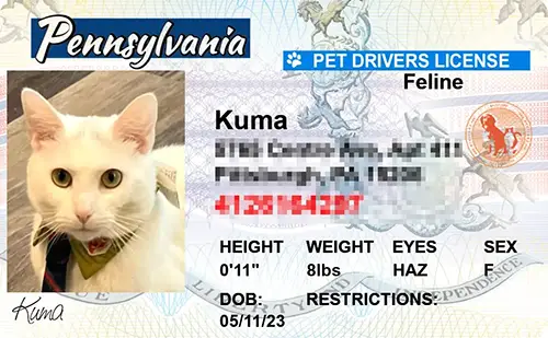 Preview of personalized pet license tag design Pennsylvania