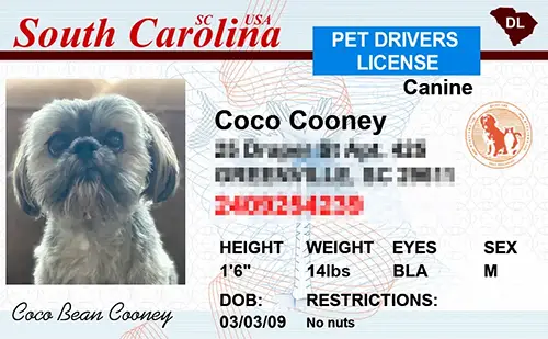 South Carolina custom dog driver license style ID tag