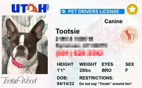 Preview of personalized pet license tag design Utah