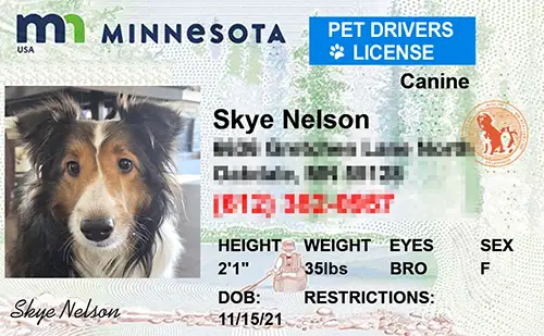 Preview of personalized pet license tag design Minnesota