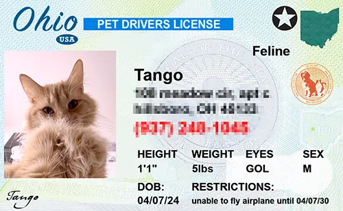 Preview of personalized pet license tag design Ohio
