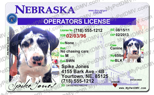 Sample pet ID tag for a dog in Nebraska
