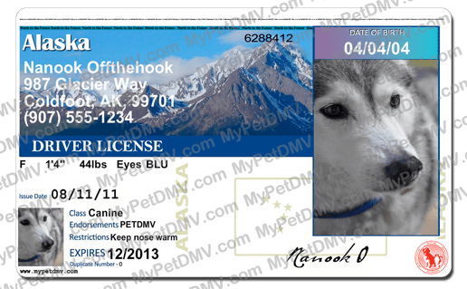 Alaska custom dog driver license style ID tag