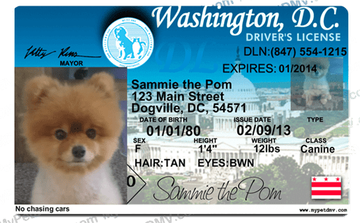 Preview of personalized pet license tag design District of Columbia