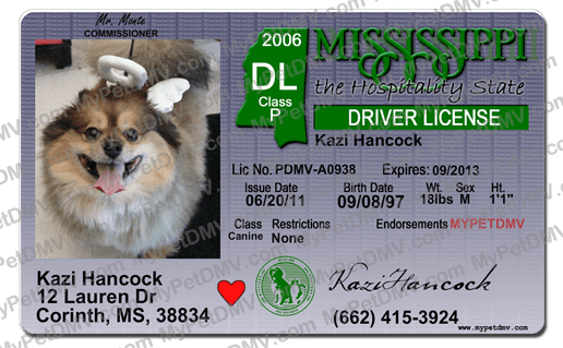 Sample pet ID tag for a dog in Mississippi