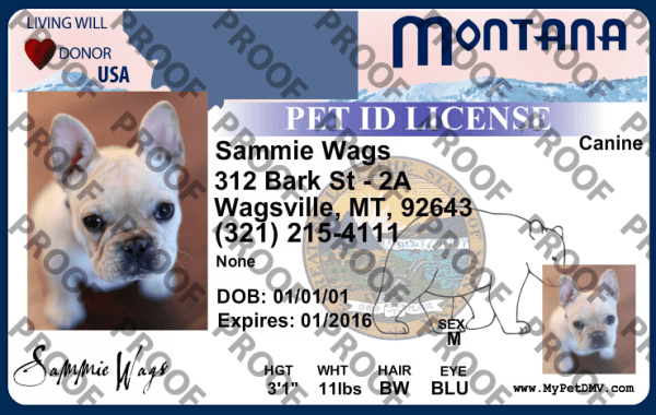 Preview of personalized pet license tag design Montana