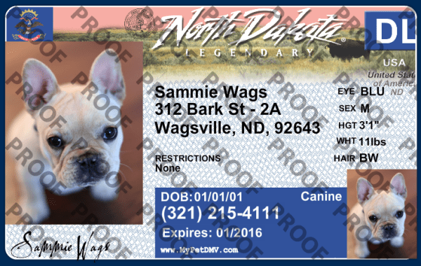 North Dakota custom dog driver license style ID tag