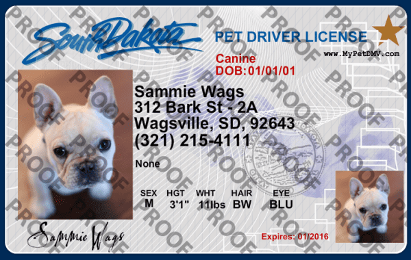 Preview of personalized pet license tag design South Dakota
