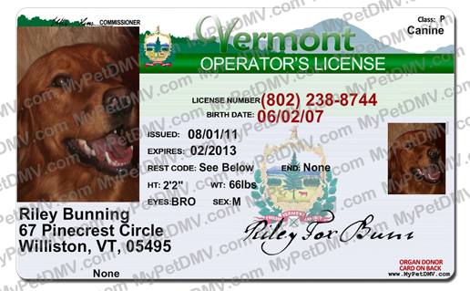 Sample pet ID tag for a dog in Vermont