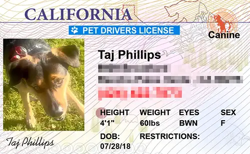 thumb-Pet-Licenses-for-State-California-New-Version