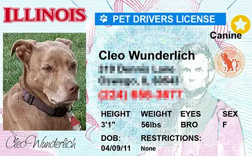 thumb-Pet-Licenses-for-State-Illinois