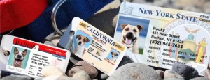 Pet License for Dogs and Cats